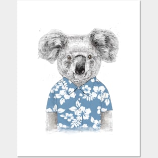 Summer Koala Posters and Art